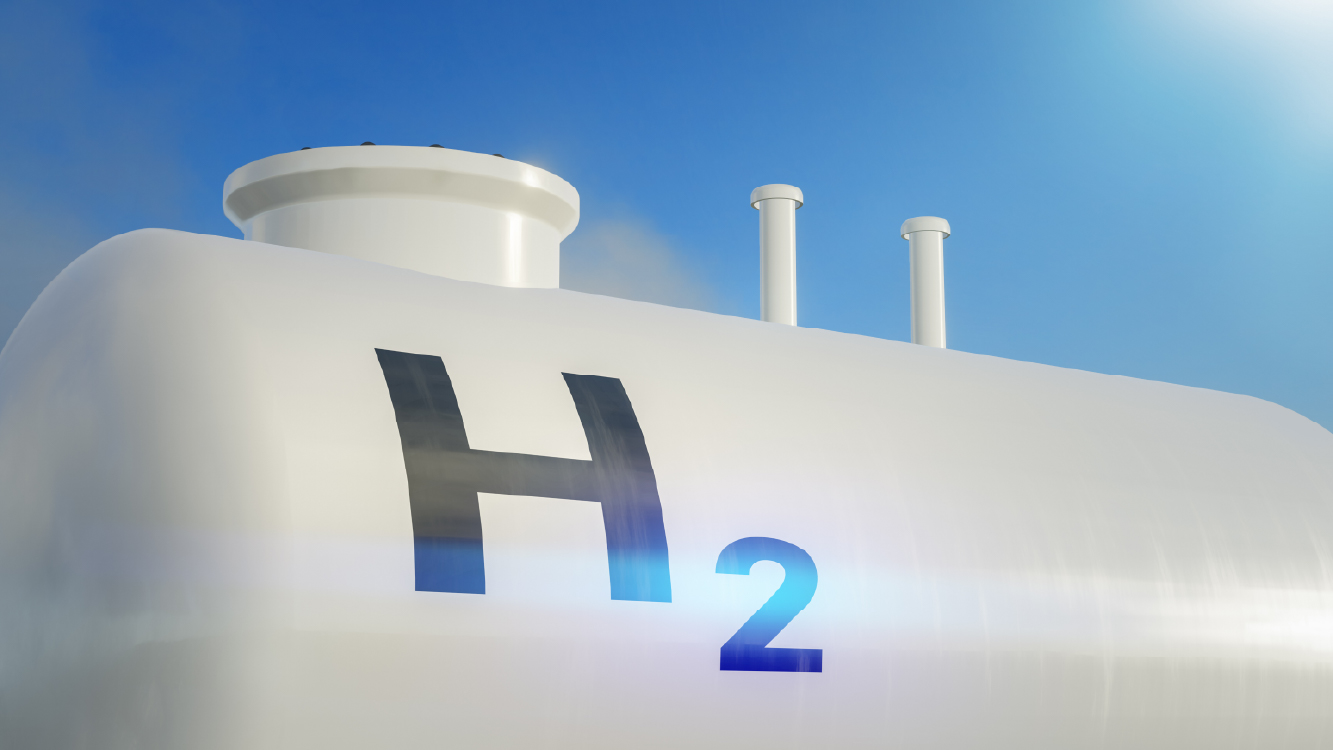 Hydrogen & Bio-Mass simulation